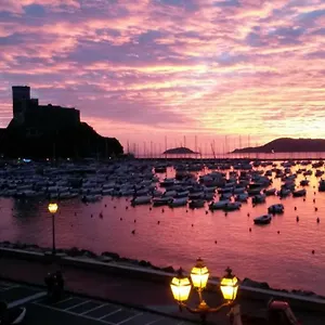 Armanda Lerici